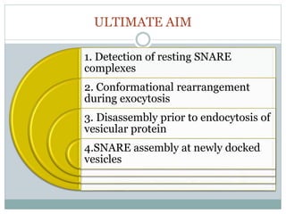ULTIMATE AIM
1. Detection of resting SNARE
complexes
2. Conformational rearrangement
during exocytosis
3. Disassembly prior to endocytosis of
vesicular protein
4.SNARE assembly at newly docked
vesicles
 