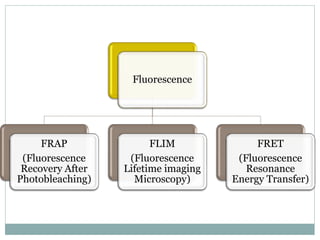 Fluorescence
FRAP
(Fluorescence
Recovery After
Photobleaching)
FLIM
(Fluorescence
Lifetime imaging
Microscopy)
FRET
(Fluorescence
Resonance
Energy Transfer)
 
