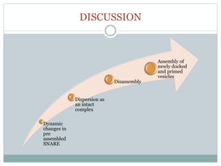 DISCUSSION
Dynamic
changes in
pre
assembled
SNARE
Dispersion as
an intact
complex
Disassembly
Assembly of
newly docked
and primed
vesicles
 