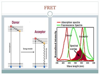 FRET
 