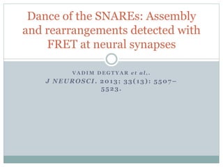 V A D I M D E G T Y A R e t a l , .
J NEUROSCI. 2013; 33(13): 5507–
5523.
Dance of the SNAREs: Assembly
and rearrangements detected with
FRET at neural synapses
 