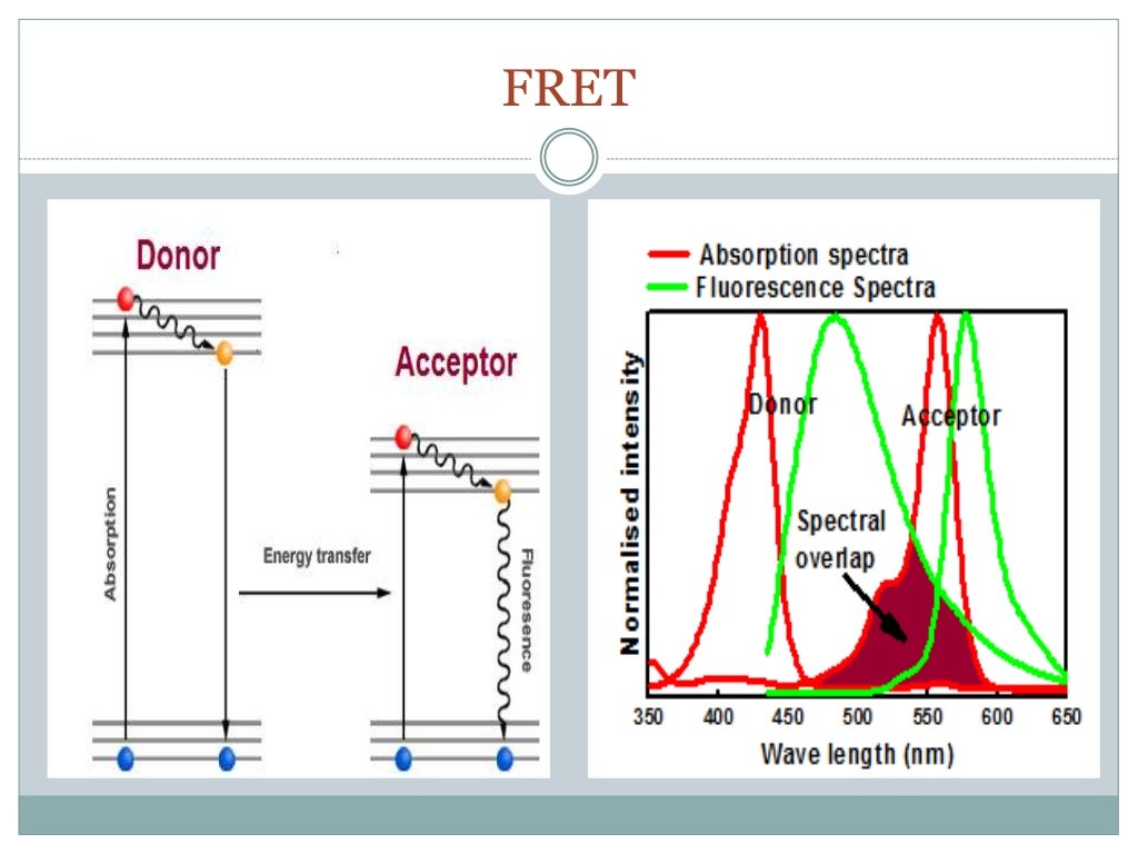 Fluorescence(Forster) Resonance Energy Transfer