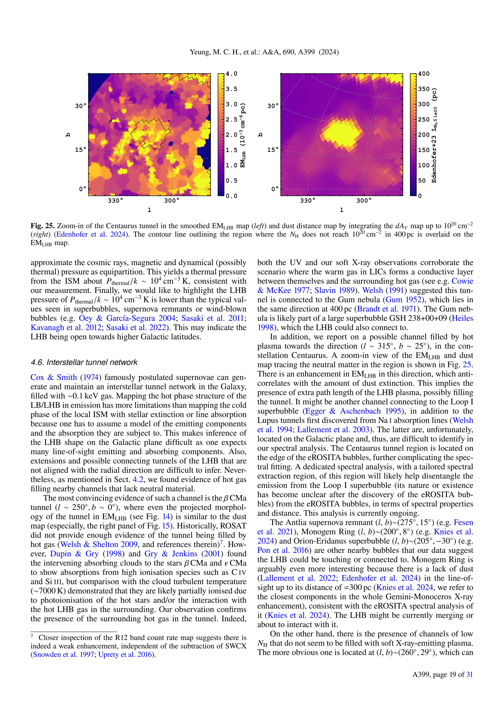 Yeung, M. C. H., et al.: A&A, 690, A399 (2024)
330° 300°
30°
15°
0°
l
b
0.0
0.5
1.0
1.5
2.0
2.5
3.0
3.5
4.0
EM
LHB
(10
3
cm
6
pc)
330° 300°
30°
15°
0°
l
b
0
50
100
150
200
250
300
350
400
Edenhofer+23
L
N
H
1e20
(pc)
Fig. 25. Zoom-in of the Centaurus tunnel in the smoothed EMLHB map (left) and dust distance map by integrating the dAV map up to 1020
cm−2
(right) (Edenhofer et al. 2024). The contour line outlining the region where the NH does not reach 1020
cm−2
in 400 pc is overlaid on the
EMLHB map.
approximate the cosmic rays, magnetic and dynamical (possibly
thermal) pressure as equipartition. This yields a thermal pressure
from the ISM about Pthermal/k ∼ 104
cm−3
K, consistent with
our measurement. Finally, we would like to highlight the LHB
pressure of Pthermal/k ∼ 104
cm−3
K is lower than the typical val-
ues seen in superbubbles, supernova remnants or wind-blown
bubbles (e.g. Oey & García-Segura 2004; Sasaki et al. 2011;
Kavanagh et al. 2012; Sasaki et al. 2022). This may indicate the
LHB being open towards higher Galactic latitudes.
4.6. Interstellar tunnel network
Cox & Smith (1974) famously postulated supernovae can gen-
erate and maintain an interstellar tunnel network in the Galaxy,
filled with ∼0.1 keV gas. Mapping the hot phase structure of the
LB/LHB in emission has more limitations than mapping the cold
phase of the local ISM with stellar extinction or line absorption
because one has to assume a model of the emitting components
and the absorption they are subject to. This makes inference of
the LHB shape on the Galactic plane difficult as one expects
many line-of-sight emitting and absorbing components. Also,
extensions and possible connecting tunnels of the LHB that are
not aligned with the radial direction are difficult to infer. Never-
theless, as mentioned in Sect. 4.2, we found evidence of hot gas
filling nearby channels that lack neutral material.
The most convincing evidence of such a channel is the β CMa
tunnel (l ∼ 250◦
, b ∼ 0◦
), where even the projected morphol-
ogy of the tunnel in EMLHB (see Fig. 14) is similar to the dust
map (especially, the right panel of Fig. 15). Historically, ROSAT
did not provide enough evidence of the tunnel being filled by
hot gas (Welsh & Shelton 2009, and references therein)7
. How-
ever, Dupin & Gry (1998) and Gry & Jenkins (2001) found
the intervening absorbing clouds to the stars β CMa and ϵ CMa
to show absorptions from high ionisation species such as C IV
and Si III, but comparison with the cloud turbulent temperature
(∼7000 K) demonstrated that they are likely partially ionised due
to photoionisation of the hot stars and/or the interaction with
the hot LHB gas in the surrounding. Our observation confirms
the presence of the surrounding hot gas in the tunnel. Indeed,
7 Closer inspection of the R12 band count rate map suggests there is
indeed a weak enhancement, independent of the subtraction of SWCX
(Snowden et al. 1997; Uprety et al. 2016).
both the UV and our soft X-ray observations corroborate the
scenario where the warm gas in LICs forms a conductive layer
between themselves and the surrounding hot gas (see e.g. Cowie
& McKee 1977; Slavin 1989). Welsh (1991) suggested this tun-
nel is connected to the Gum nebula (Gum 1952), which lies in
the same direction at 400 pc (Brandt et al. 1971). The Gum neb-
ula is likely part of a large superbubble GSH 238+00+09 (Heiles
1998), which the LHB could also connect to.
In addition, we report on a possible channel filled by hot
plasma towards the direction (l ∼ 315◦
, b ∼ 25◦
), in the con-
stellation Centaurus. A zoom-in view of the EMLHB and dust
map tracing the neutral matter in the region is shown in Fig. 25.
There is an enhancement in EMLHB in this direction, which anti-
correlates with the amount of dust extinction. This implies the
presence of extra path length of the LHB plasma, possibly filling
the tunnel. It might be another channel connecting to the Loop I
superbubble (Egger & Aschenbach 1995), in addition to the
Lupus tunnels first discovered from Na I absorption lines (Welsh
et al. 1994; Lallement et al. 2003). The latter are, unfortunately,
located on the Galactic plane and, thus, are difficult to identify in
our spectral analysis. The Centaurus tunnel region is located on
the edge of the eROSITA bubbles, further complicating the spec-
tral fitting. A dedicated spectral analysis, with a tailored spectral
extraction region, of this region will likely help disentangle the
emission from the Loop I superbubble (its nature or existence
has become unclear after the discovery of the eROSITA bub-
bles) from the eROSITA bubbles, in terms of spectral properties
and distance. This analysis is currently ongoing.
The Antlia supernova remnant (l, b)∼(275◦
, 15◦
) (e.g. Fesen
et al. 2021), Monogem Ring (l, b)∼(200◦
, 8◦
) (e.g. Knies et al.
2024) and Orion-Eridanus superbubble (l, b)∼(205◦
, −30◦
) (e.g.
Pon et al. 2016) are other nearby bubbles that our data suggest
the LHB could be touching or connected to. Monogem Ring is
arguably even more interesting because there is a lack of dust
(Lallement et al. 2022; Edenhofer et al. 2024) in the line-of-
sight up to its distance of ⋍300 pc (Knies et al. 2024, we refer to
the closest components in the whole Gemini-Monoceros X-ray
enhancement), consistent with the eROSITA spectral analysis of
it (Knies et al. 2024). The LHB might be currently merging or
about to interact with it.
On the other hand, there is the presence of channels of low
NH that do not seem to be filled with soft X-ray-emitting plasma.
The more obvious one is located at (l, b)∼(260◦
, 29◦
), which can
A399, page 19 of 31
 