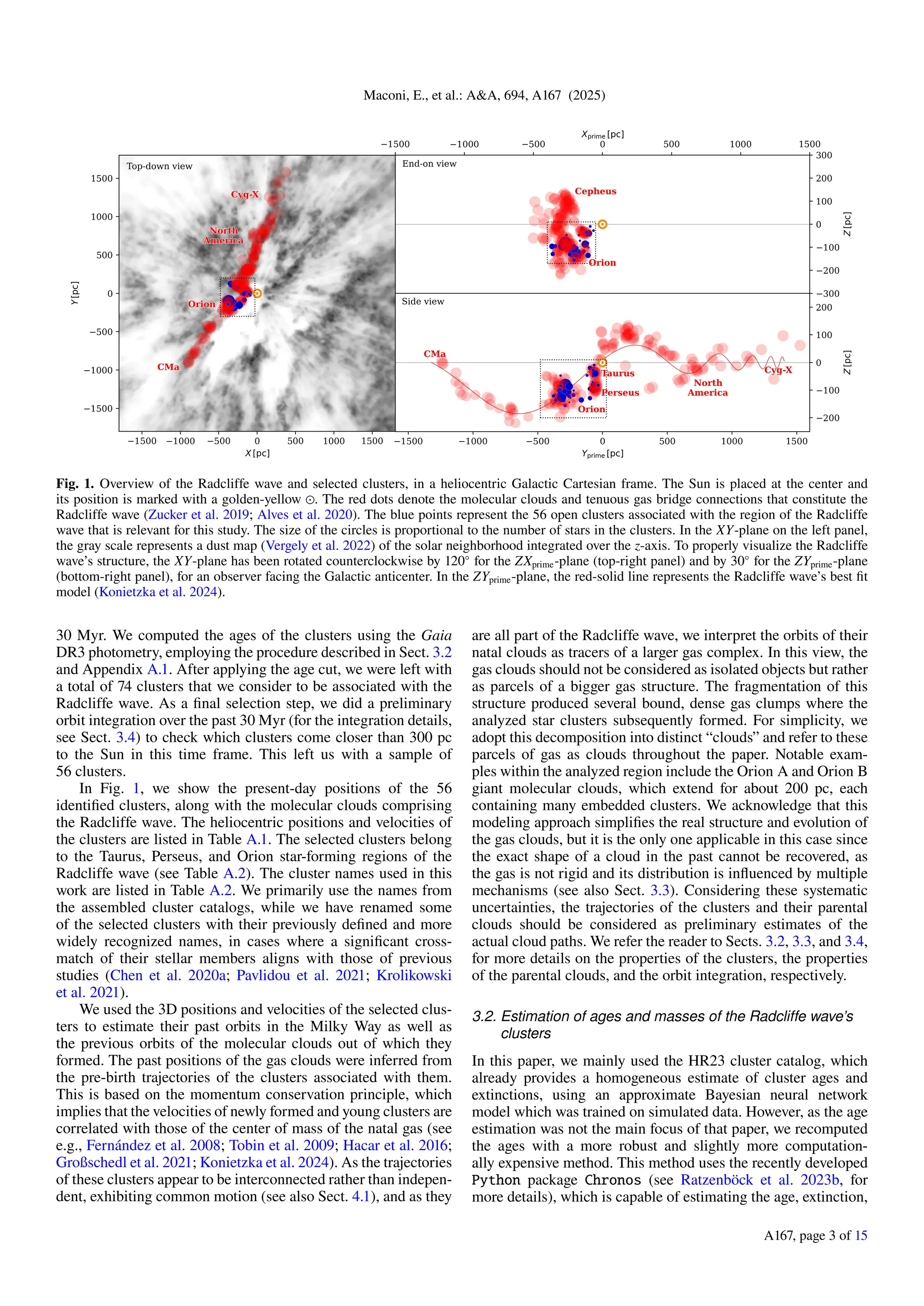 Maconi, E., et al.: A&A, 694, A167 (2025)
Fig. 1. Overview of the Radcliffe wave and selected clusters, in a heliocentric Galactic Cartesian frame. The Sun is placed at the center and
its position is marked with a golden-yellow ⊙. The red dots denote the molecular clouds and tenuous gas bridge connections that constitute the
Radcliffe wave (Zucker et al. 2019; Alves et al. 2020). The blue points represent the 56 open clusters associated with the region of the Radcliffe
wave that is relevant for this study. The size of the circles is proportional to the number of stars in the clusters. In the XY-plane on the left panel,
the gray scale represents a dust map (Vergely et al. 2022) of the solar neighborhood integrated over the z-axis. To properly visualize the Radcliffe
wave’s structure, the XY-plane has been rotated counterclockwise by 120◦
for the ZXprime-plane (top-right panel) and by 30◦
for the ZYprime-plane
(bottom-right panel), for an observer facing the Galactic anticenter. In the ZYprime-plane, the red-solid line represents the Radcliffe wave’s best fit
model (Konietzka et al. 2024).
30 Myr. We computed the ages of the clusters using the Gaia
DR3 photometry, employing the procedure described in Sect. 3.2
and Appendix A.1. After applying the age cut, we were left with
a total of 74 clusters that we consider to be associated with the
Radcliffe wave. As a final selection step, we did a preliminary
orbit integration over the past 30 Myr (for the integration details,
see Sect. 3.4) to check which clusters come closer than 300 pc
to the Sun in this time frame. This left us with a sample of
56 clusters.
In Fig. 1, we show the present-day positions of the 56
identified clusters, along with the molecular clouds comprising
the Radcliffe wave. The heliocentric positions and velocities of
the clusters are listed in Table A.1. The selected clusters belong
to the Taurus, Perseus, and Orion star-forming regions of the
Radcliffe wave (see Table A.2). The cluster names used in this
work are listed in Table A.2. We primarily use the names from
the assembled cluster catalogs, while we have renamed some
of the selected clusters with their previously defined and more
widely recognized names, in cases where a significant cross-
match of their stellar members aligns with those of previous
studies (Chen et al. 2020a; Pavlidou et al. 2021; Krolikowski
et al. 2021).
We used the 3D positions and velocities of the selected clus-
ters to estimate their past orbits in the Milky Way as well as
the previous orbits of the molecular clouds out of which they
formed. The past positions of the gas clouds were inferred from
the pre-birth trajectories of the clusters associated with them.
This is based on the momentum conservation principle, which
implies that the velocities of newly formed and young clusters are
correlated with those of the center of mass of the natal gas (see
e.g., Fernández et al. 2008; Tobin et al. 2009; Hacar et al. 2016;
Großschedl et al. 2021; Konietzka et al. 2024). As the trajectories
of these clusters appear to be interconnected rather than indepen-
dent, exhibiting common motion (see also Sect. 4.1), and as they
are all part of the Radcliffe wave, we interpret the orbits of their
natal clouds as tracers of a larger gas complex. In this view, the
gas clouds should not be considered as isolated objects but rather
as parcels of a bigger gas structure. The fragmentation of this
structure produced several bound, dense gas clumps where the
analyzed star clusters subsequently formed. For simplicity, we
adopt this decomposition into distinct “clouds” and refer to these
parcels of gas as clouds throughout the paper. Notable exam-
ples within the analyzed region include the Orion A and Orion B
giant molecular clouds, which extend for about 200 pc, each
containing many embedded clusters. We acknowledge that this
modeling approach simplifies the real structure and evolution of
the gas clouds, but it is the only one applicable in this case since
the exact shape of a cloud in the past cannot be recovered, as
the gas is not rigid and its distribution is influenced by multiple
mechanisms (see also Sect. 3.3). Considering these systematic
uncertainties, the trajectories of the clusters and their parental
clouds should be considered as preliminary estimates of the
actual cloud paths. We refer the reader to Sects. 3.2, 3.3, and 3.4,
for more details on the properties of the clusters, the properties
of the parental clouds, and the orbit integration, respectively.
3.2. Estimation of ages and masses of the Radcliffe wave’s
clusters
In this paper, we mainly used the HR23 cluster catalog, which
already provides a homogeneous estimate of cluster ages and
extinctions, using an approximate Bayesian neural network
model which was trained on simulated data. However, as the age
estimation was not the main focus of that paper, we recomputed
the ages with a more robust and slightly more computation-
ally expensive method. This method uses the recently developed
Python package Chronos (see Ratzenböck et al. 2023b, for
more details), which is capable of estimating the age, extinction,
A167, page 3 of 15
 