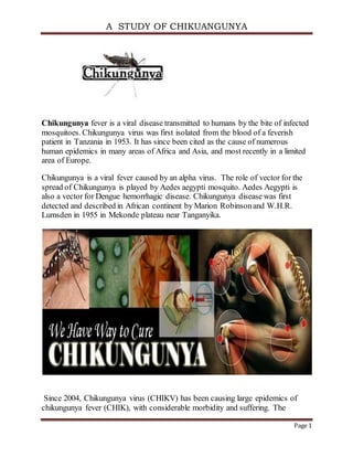 A STUDY OF CHIKUANGUNYA
Page 1
Chikungunya fever is a viral disease transmitted to humans by the bite of infected
mosquitoes. Chikungunya virus was first isolated from the blood of a feverish
patient in Tanzania in 1953. It has since been cited as the cause of numerous
human epidemics in many areas of Africa and Asia, and most recently in a limited
area of Europe.
Chikungunya is a viral fever caused by an alpha virus. The role of vector for the
spread of Chikungunya is played by Aedes aegypti mosquito. Aedes Aegypti is
also a vector for Dengue hemorrhagic disease. Chikungunya disease was first
detected and described in African continent by Marion Robinsonand W.H.R.
Lumsden in 1955 in Mekonde plateau near Tanganyika.
Since 2004, Chikungunya virus (CHIKV) has been causing large epidemics of
chikungunya fever (CHIK), with considerable morbidity and suffering. The
 