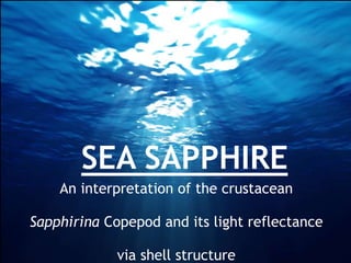 SEA SAPPHIRE
An interpretation of the crustacean
Sapphirina Copepod and its light reflectance
via shell structure
 