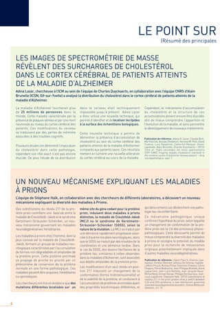 4
XXXX
LES IMAGES DE SPECTROMÉTRIE DE MASSE
RÉVÈLENT DES SURCHARGES DE CHOLESTÉROL
DANS LE CORTEX CÉRÉBRAL DE PATIENTS ATTEINTS
DE LA MALADIE D’ALZHEIMER
Adina Lazar, chercheuse à l’ICM au sein de l’équipe de Charles Duyckaerts, en collaboration avec l’équipe CNRS d’Alain
Brunelle (ICSN, Gif-sur-Yvette) a analysé la distribution du cholestérol dans le cortex cérébral de patients atteints de la
maladie d’Alzheimer.
UN NOUVEAU MÉCANISME EXPLIQUANT LES MALADIES
À PRIONS
L’équipe de Stéphane Haïk, en collaboration avec des chercheurs de différents laboratoires, a découvert un nouveau
mécanisme expliquant la diversité des maladies à Prions.
LE POINT SUR
(Résumé des principales
La maladie d’Alzheimer toucherait plus
de 25 millions de personnes dans le
monde. Cette maladie caractérisée par la
présence de plaques séniles et par une mort
neuronale au niveau du cortex cérébral des
patients. Ces modifications du cerveau
se traduisent par des pertes de mémoire
associées à des troubles cognitifs.
Plusieurs études ont démontré l’implication
du cholestérol dans cette pathologie,
cependant son rôle exact n’est pas encore
élucidé. De plus l’étude de sa distribution
Des substitutions du résidu 211 de la pro-
téine prion contrôlent une bascule entre la
maladie de Creutzfeldt-Jakob et le syndrome
Gerstmann-Sträussler-Scheinker, un nou-
veau mécanisme gouvernant les maladies
neurodégénératives héréditaires.
Les maladies à prions chez l’homme, dont la
plus connue est la maladie de Creutzfeldt-
Jakob, forment un groupe de maladies neu-
rologiques caractérisées par l’accumulation
de formes non dégradables et amyloïdes de
la protéine prion. Cette protéine anormale
se propage de proche en proche par un
phénomène de conversion de la protéine
normale en une forme pathologique. Ces
maladies peuvent être acquises, héréditaires
ou sporadiques.
Les chercheurs ont mis en évidence que des
mutations différentes localisées sur un
dans le cerveau était techniquement
impossible jusqu’à présent. Adina Lazar
a donc utilisé une nouvelle technique, qui
permet d’identiﬁer et de localiser les lipides
à la surface des échantillons biologiques.
Cette nouvelle technique a permis de
démontrer la présence d’accumulation de
cholestérol au sein du cortex cérébral des
patients atteints de la maladie d’Alzheimer
comparés aux patients sains. Ces résultats
mettent en lumière une nouvelle altération
du cortex cérébral au cours de la maladie.
même site du gène codant pour la protéine
prion, induisent deux maladies à prions
distinctes, la maladie de Creutzfeld-Jakob
(MCJ) ou le syndrome de Gerstmann-
Sträussler-Scheinker (SGSS), selon la
nature de la mutation. La MCJ se traduit par
une démence rapidement progressive asso-
ciée à d’autres troubles neurologiques, alors
que le SGSS se traduit par des troubles de la
coordination et une démence tardive. Dans
le cas du SGSS, des lésions ﬁbrillaires de la
protéine tau, similaires à celles observées
dans la maladies d’Alzheimer, sont associées
aux dépôts amyloïdes de la proteine prion.
Les modiﬁcations d’un seul résidu en posi-
tion 211 induisent un changement de la
conformation (forme tridimensionnelle) et
de la stabilité de la protéine, et conduisent à
l’accumulation de protéines anormales ayant
des propriétés biochimiques différentes, et
Cependant, le mécanisme d’accumulation
du cholestérol et la structure de ces
accumulations doivent encore être élucidés
aﬁn de mieux comprendre l’apparition et
l’évolution de la maladie, et ainsi permettre
le développement de nouveaux traitements.
Publication de référence : Adina N. Lazar, Claudia Bich,
Maï Panchal, Nicolas Desbenoit, Vanessa W. Petit, David
Touboul, Luce Dauphinot, Catherine Marquer, Olivier
Laprévote, Alain Brunelle, Charles Duyckaerts – (2012)
Time of- flight secondary ion mass spectrometry
(TOF-SIMS) imaging reveals cholesterol overload in
the cerebral cortex of Alzheimer disease patient. - Acta
neuropathologica, sept. 7.
qui dans certains cas déclenchent une patho-
logie tau neuroﬁbrillaire.
Ce mécanisme pathogénique unique
conﬁrme l’hypothèse du prion, selon laquelle
un changement de conformation de la pro-
téine prion est la clé des processus physio-
pathologiques. Cette découverte permet de
mieux comprendre la diversité des maladies
à prions et souligne le potentiel du modèle
prion pour la recherche de mécanismes
originaux potentiellement impliqués dans
d’autres maladies neurodégénératives.
Publication de reference : Katell Peoc’h, Etienne Leva-
vasseur, Emilien Delmont, Alfonso De Simone, Isabelle
Laffont-Proust, Nicolas Privat, Yassmine Chebaro, Céline
Chapuis, Pierre Bedoucha, Jean-Philippe Brandel, Annie
Laquerriere, Jean-Louis Kemeny, Jean-Jacques Hauw,
Michel Borg, Human Rezaei, Philippe Derreumaux, Jean-
Louis Laplanche, Stéphane Haïk- (2012) Substitutions at
residue 211 in the prion protein drive a switch between
CJD and GSS syndrome, a new mechanism governing
inherited neurodegenerative disorders. Human Molecular
Genetics, oct. 15.
 