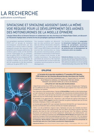 5
SPATACSINE ET SPATAZINE AGISSENT DANS LA MÊME
VOIE REQUISE POUR LE DÉVELOPPEMENT DES AXONES
DES MOTONEURONES DE LA MOELLE ÉPINIÈRE
L’équipe d’Alexis Brice et Giovanni Stevanin en collaboration avec des chercheurs de l’Hôpital Robert Debré, ont découvert
un mécanisme impliqué dans certaines formes de paraplégies spastiques héréditaires.
LA RECHERCHE
publications scientiﬁques)
Les paraplégies spastiques héréditaires
(PSH) sont un groupe de maladies
neurologiques caractérisées par des
troubles de la marche (raide et ralentie)
progressifs pouvant être associés à des
symptômes neurologiques additionnels. De
nombreux gènes mutés ont été identiﬁés
comme responsables de ces maladies,
dont les gènes SPG11 et SPG15 qui sont
responsables de formes complexes de PSH.
L’équipe d’Alexis Brice a développé de
nouveaux modèles chez le poisson zèbre
aﬁn de comprendre le rôle des protéines
codées par les gènes SPG11 et 15.
Ces nouveaux modèles ont démontré
que ces deux protéines sont requises
dans les mêmes mécanismes cellulaires.
L’inactivation de la protéine codée par
SPG11 ou par SPG15 induit un branchement
anormal des motoneurones au niveau
des jonctions neuromusculaires, jonction
permettant la transmission d’informations
entre le cerveau et les muscles, et des
troubles locomoteurs. Ces observations
permettent de conclure au rôle important
de ces protéines dans la mise en place des
connexions neuromusculaires au cours du
développement.
Ces résultats permettent de comprendre
le mécanisme impliqué dans certaines
formes de paraplégies spastiques
héréditaires, et ouvrent une nouvelle voie
de recherche pour le développement de
traitements contre ces maladies.
Publication de référence : Elodie Martin, Constantin
Yanicostas, Agnès Rastetter, Seyedeh Maryam Alavi Naini,
Alissia Maouedj, Edor Kabashi, Sophie Rivaud-Péchoux,
Alexis Brice, Giovanni Stevanin, Nadia Soussi-Yanicostas
(2012) Spatacsin and spastizin act in the same pathway
required for proper spinal motor neuron axon outgrowth
in zebraﬁsh Neurobiology of Disease,Dec. 48(3) : 299-308
EPILEPSIE
A l’occasion de la journée mondiale le 17 novembre 2012 dernier,
l’ICM revient sur les récentes découvertes des chercheurs de l’Institut
EXPRESSION D’UN DYSFONCTIONNEMENT AIGU ET TRANSITOIRE DE L’ACTIVITÉ
ÉLECTRIQUE DU CERVEAU, SE TRADUISANT PAR DES CRISES
PENDANT UN CERTAIN TEMPS DE LA VIE D’UN INDIVIDU,
L’ÉPILEPSIE EST UNE MALADIE NEUROLOGIQUE.
L’objectif de la recherche à l’ICM est de développer de nouvelles thérapies pour l’épilepsie,
qui à la différence de celles existantes ne chercheront pas à apaiser les crises mais plutôt
à empêcher leur genèse.
Pour répondre à cette problématique, l’équipe de Richard Miles travaille en électrophysiologie
sur des cultures de neurones pour comprendre les mécanismes de déclenchement des
crises – c’est à dire ce qui fait que les neurones commencent sans raison apparente à être
hyperactifs tous en même temps, déclenchant un « ouragan » électrique dans le cerveau.
En parallèle à ces approches de « dissection » des milliards de signaux électriques du
cerveau, l’équipe d’Eric Leguern cherche à identiﬁer les gènes impliqués dans les formes
familiales d’épilepsie. Grâce à cette approche,
un nouveau gène appelé LGI1 a par exemple récemment été identiﬁé, qui n’assume plus sa
fonction normalement dans certaines familles de malades épileptiques.
Enfin, l’un des problèmes majeurs dans l’épilepsie est pour les malades de devoir
constamment prendre des médicaments dont les effets secondaires peuvent être très
gênants, alors que la crise n’arrive parfois qu’une fois par mois. Par ailleurs, certaines
personnes sont porteuses de formes totalement réfractaires aux médicaments. Les
chercheurs et médecins travaillant avec le Professeur Michel Baulac développent donc des
systèmes d’analyse d’électroencéphalographie de pointe, pour tenter de « lire » les signaux
annonciateurs d’une crise plusieurs minutes avant que celle-ci ne survienne. Dernièrement,
le Professeur Michel Baulac a démontré l’efﬁcacité et la tolérabilité du zonisamide en
monothérapie dans les crises focales nouvellement diagnostiquées.
Publicationderéférence:Baulac Michel, Brodie MJ, Patten A, Segieth J, Giorgi L. ( Unité d’épilepsie - APHP- IHU – A - ICM)
 