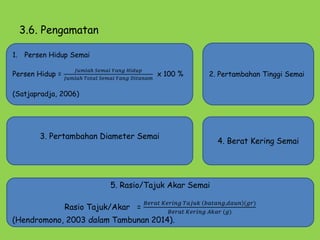 3.6. Pengamatan
1. Persen Hidup Semai
Persen Hidup =
𝐽𝑢𝑚𝑙𝑎ℎ 𝑆𝑒𝑚𝑎𝑖 𝑌𝑎𝑛𝑔 𝐻𝑖𝑑𝑢𝑝
𝐽𝑢𝑚𝑙𝑎ℎ 𝑇𝑜𝑡𝑎𝑙 𝑆𝑒𝑚𝑎𝑖 𝑌𝑎𝑛𝑔 𝐷𝑖𝑡𝑎𝑛𝑎𝑚
x 100 %
(Satjapradja, 2006)
2. Pertambahan Tinggi Semai
3. Pertambahan Diameter Semai
4. Berat Kering Semai
5. Rasio/Tajuk Akar Semai
Rasio Tajuk/Akar =
𝐵𝑒𝑟𝑎𝑡 𝐾𝑒𝑟𝑖𝑛𝑔 𝑇𝑎𝑗𝑢𝑘 𝑏𝑎𝑡𝑎𝑛𝑔,𝑑𝑎𝑢𝑛 (𝑔𝑟)
𝐵𝑒𝑟𝑎𝑡 𝐾𝑒𝑟𝑖𝑛𝑔 𝐴𝑘𝑎𝑟 (𝑔)
(Hendromono, 2003 dalam Tambunan 2014).
 