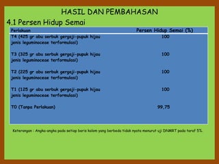 HASIL DAN PEMBAHASAN
4.1 Persen Hidup Semai
Perlakuan Persen Hidup Semai (%)
T4 (425 gr abu serbuk gergaji-pupuk hijau 100
jenis leguminoceae terformulasi)
T3 (325 gr abu serbuk gergaji-pupuk hijau 100
jenis leguminoceae terformulasi)
T2 (225 gr abu serbuk gergaji-pupuk hijau 100
jenis leguminoceae terformulasi)
T1 (125 gr abu serbuk gergaji-pupuk hijau 100
jenis leguminoceae terformulasi)
T0 (Tanpa Perlakuan) 99,75
Keterangan : Angka-angka pada setiap baris kolom yang berbeda tidak nyata menurut uji DNMRT pada taraf 5%.
 