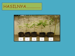 T4T3T2T1T0
HASILNYA..............
 