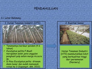 PENDAHULUAN
1.1. Latar Belakang
1. Hutan Tanaman Industri (HTI)
 Tanamannya berdaur pendek (4-6
tahun)
 Eucalyptus pellita F.Muell
merupakan salah jenis unggulan
penghasil pulp selain marga Accacia
sp.
 Di Riau Eucalyptus pelita ditanam
skala besar dan sudah memasuki
rotasi ke 3 (Supangat, dkk, 2013)
2. Kualitas Semai
Hutan Tanaman Industri
(HTI) membutuhkan bibit
yang berkualitas tinggi
dari persemaian
(Nursery)
 
