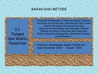 BAHAN DAN METODE
3.1.
Tempat
dan Waktu
Penelitian
 Penelitian dilaksanakan di kebun percobaan Fakultas
Pertanian Universitas Riau, Laboratorium Ilmu Tanah
Fakultas Pertanian Universitas Riau dan
Laboratorium Ekofisiologi dan Pemuliaan Tanaman
Fakultas Pertanian Universitas Riau Jalan Bina
Widya, Kelurahan Simpang Baru, Kecamatan Tampan,
Kota Pekanbaru .
 Penelitian dilaksanakan selama 3 bulan dari
bulan November 2015 – Januari 2016.
 