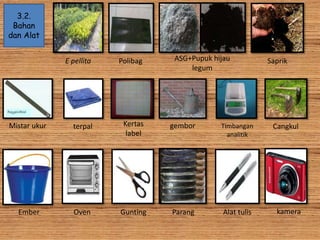 3.2.
Bahan
dan Alat
E pellita Polibag ASG+Pupuk hijau
legum
Saprik
CangkulTimbangan
analitik
gemborKertas
label
terpalMistar ukur
Ember Oven Gunting Parang Alat tulis kamera
 