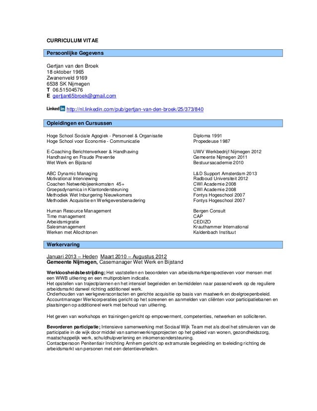 Curriculum vitae format in word picture