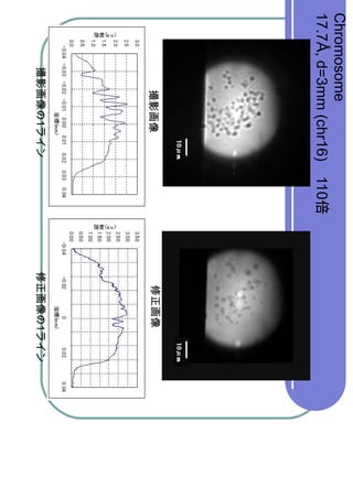 Chromosome
17.7?, d=3mm (chr16) 110
                 10?m          10?m
             1             1
 