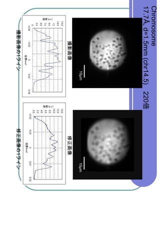 Chromosome
17.7?, d=1.5mm (chr14.5) 220
                  10?m             10?m
                  10?m               10?m
             1                 1
 
