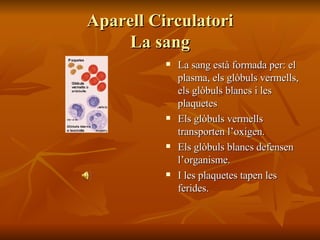 Aparell Circulatori La sang La sang està formada per: el plasma, els glòbuls vermells, els glòbuls blancs i les plaquetes Els glòbuls vermells transporten l’oxigen. Els glòbuls blancs defensen l’organisme. I les plaquetes tapen les ferides. 