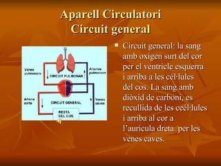 Aparell Circulatori Circuit general Circuit general: la sang amb oxigen surt del cor per el ventricle esquerra i arriba a les cél·lules  del cos. La sang amb diòxid de carboni, es recullida de les ceél·lules i arriba al cor a l’auricula dreta  per les venes caves. 