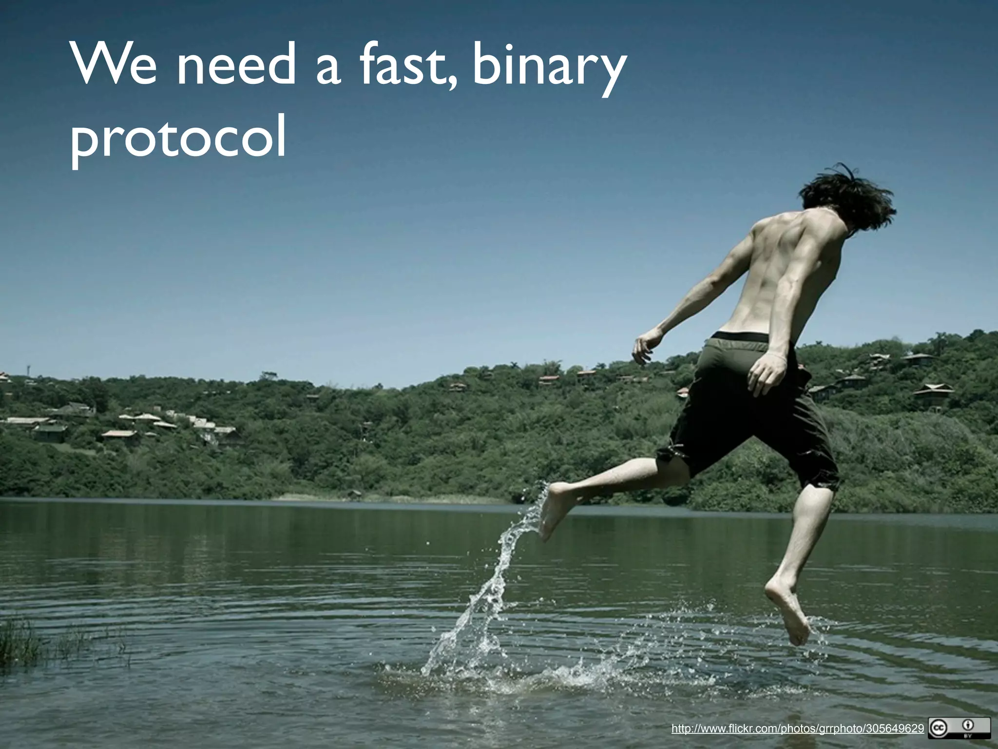We need a fast, binary
protocol
http://www.flickr.com/photos/grrphoto/305649629
 