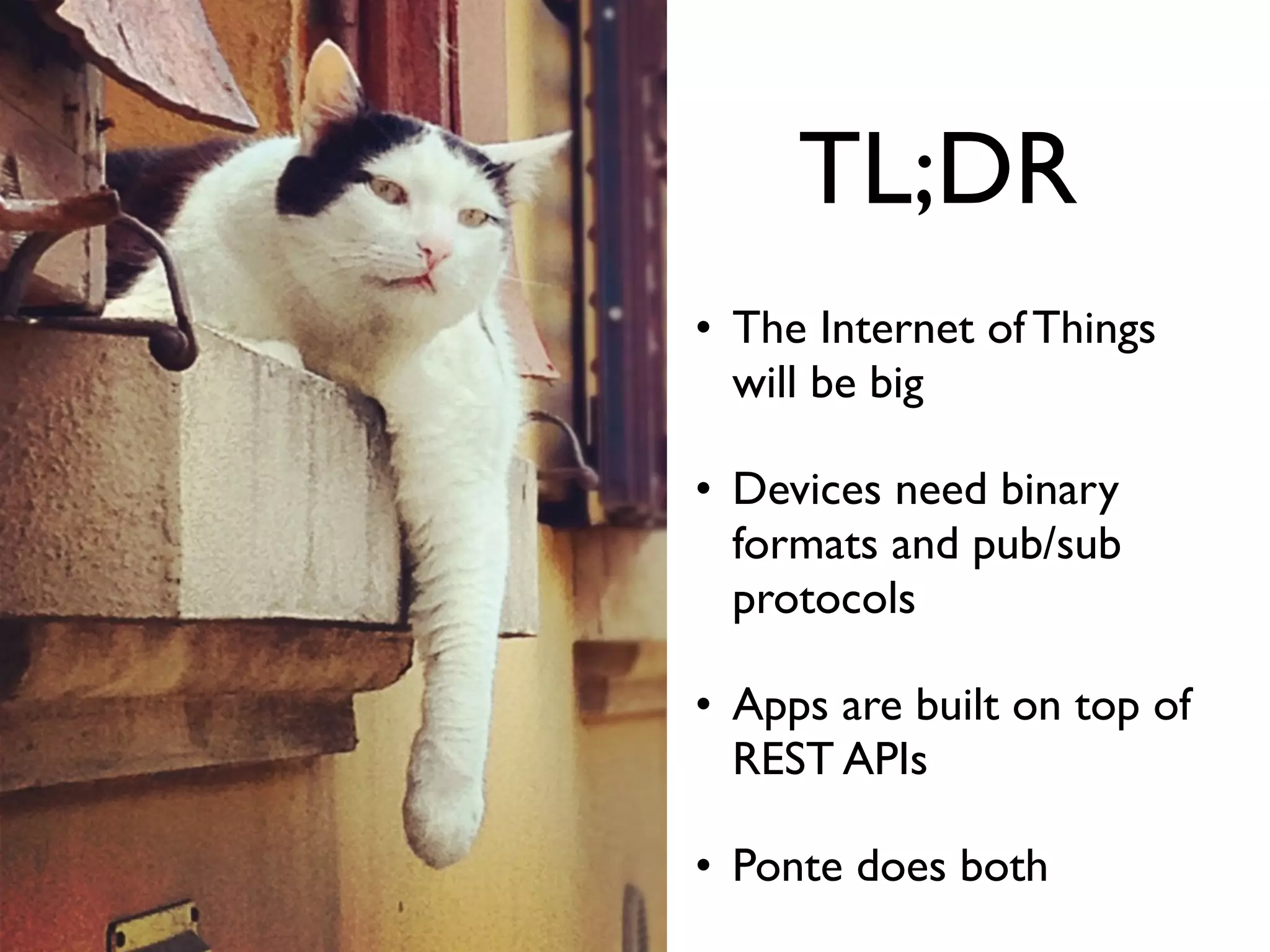 TL;DR
• The Internet of Things
will be big
• Devices need binary
formats and pub/sub
protocols
• Apps are built on top of
REST APIs
• Ponte does both
 