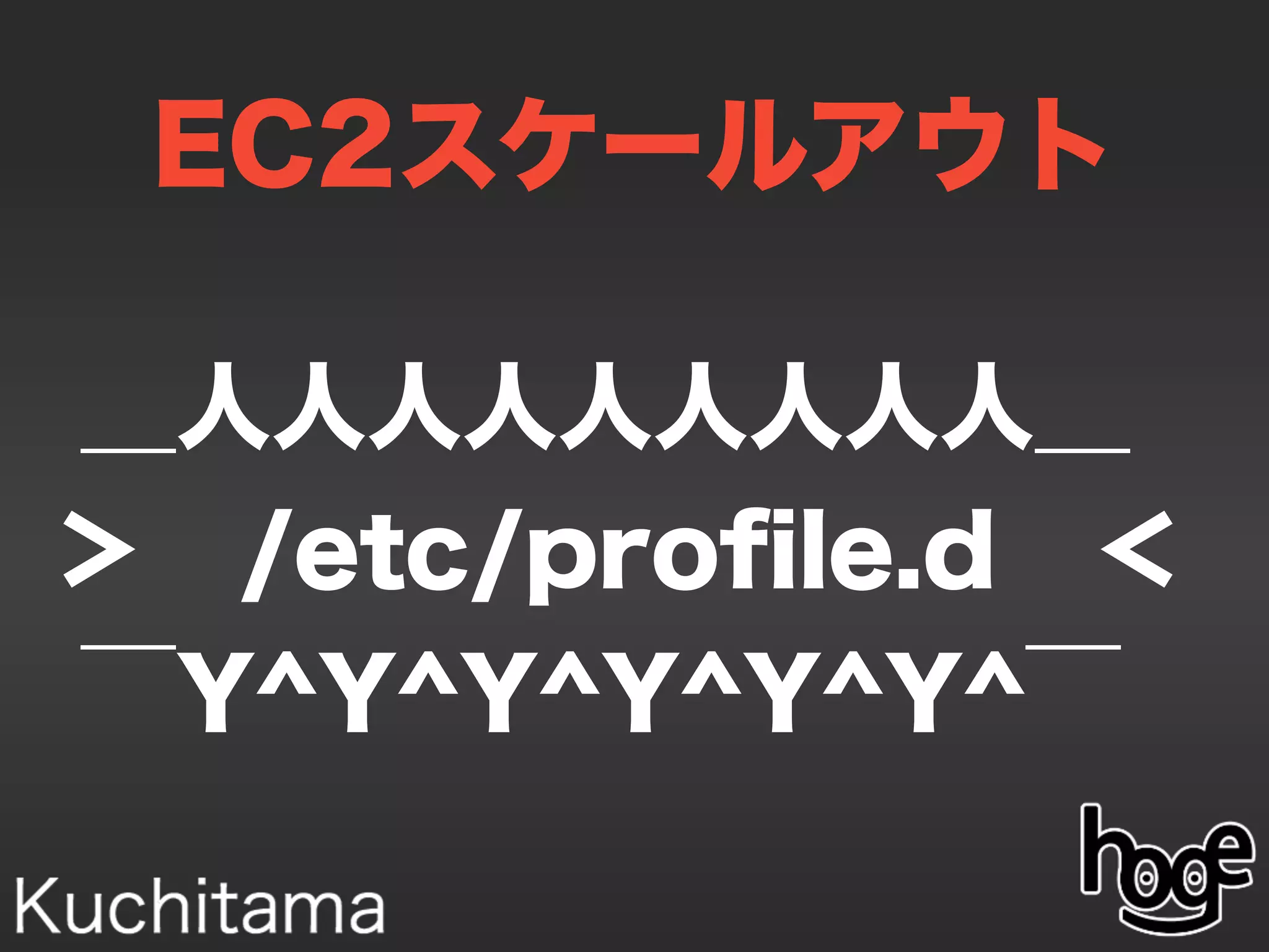 EC2スケールアウト
＿人人人人人人人人人＿
＞ /etc/proﬁle.d ＜
￣Y^Y^Y^Y^Y^Y^￣
 