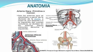 ANATOMIA
SCHWARTZ. Principio de Cirugía. Malrotación congénita.10a ed. México: Editorial McGRAW-HILL
 