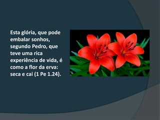 Esta glória, que pode
embalar sonhos,
segundo Pedro, que
teve uma rica
experiência de vida, é
como a flor da erva:
seca e cai (1 Pe 1.24).
 
