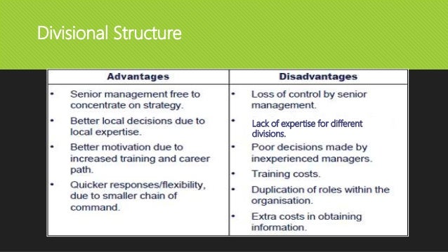 Organizational Structure