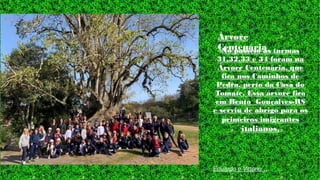 Eduardo e Vittorio ...
No passeio as turmas
31,32,33 e 34 foram na
Árvore Centenária, que
fica nos Caminhos de
Pedra, perto da Casa do
Tomate. Essa árvore fica
em Bento Gonçalves-RS
e serviu de abrigo para os
primeiros imigrantes
italianos.
Árvore
Centenária
 