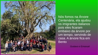 Nós fomos na Árvore
Centenária, ela ajudou
os imigrantes italianos
pois eles ficaram
embaixo da árvore por
um tempo, servindo de
casa. A árvore fica em
Bento
Gustavo e Emanuel
 