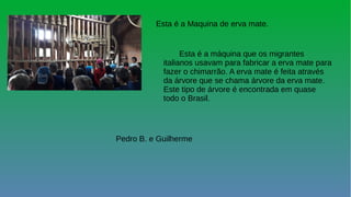 Esta é a Maquina de erva mate.
Esta é a máquina que os migrantes
italianos usavam para fabricar a erva mate para
fazer o chimarrão. A erva mate é feita através
da árvore que se chama árvore da erva mate.
Este tipo de árvore é encontrada em quase
todo o Brasil.
Pedro B. e Guilherme
 