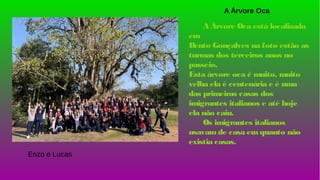 A Árvore Oca
A Árvore Oca está localizada
em
Bento Gonçalves na foto estão as
turmas dos terceiros anos no
passeio.
Esta árvore oca é muito, muito
velha ela é centenária e é uma
das primeiras casas dos
imigrantes italianos e até hoje
ela não caiu.
Os imigrantes italianos
usavamde casa emquanto não
existia casas.
Enzo e Lucas
 