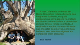 A rota Caminhos de Pedra em
Bento Gonçalves relata a história dos
imigrantes italianos, os quais
chegaram na serra gaúcha na metade
do século 19 com sonhos e promessas
de terra férteis, renda e conforto. A
realidade era outra: as terras ficavam
nas encostas dos morros, com mata
fechada, sem estrutura alguma. As
condições eram precárias.
Enzo e Lucas
 