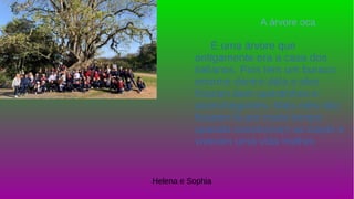 A árvore oca
É uma árvore que
antigamente era a casa dos
italianos. Pois tem um buraco
enorme dentro dela e eles
ficaram bem quentinhos e
aconchegantes. Mais eles não
ficaram lá por muito tempo
quando construíram as casas e
viveram uma vida melhor.
Helena e Sophia
 