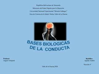 República Bolivariana de Venezuela
Ministerio del Poder Popular para la Educación
Universidad Nacional Experimental “Rómulo Gallegos”
Área de Ciencias de la Salud- Núcleo Valle de La Pascua
Profesor: Bachiller:
Angelo Ochipinti Aguilar Andrés
“Sección 4”
Valle de la Pascua,2020
 