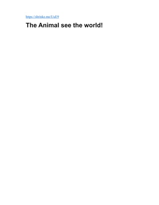https://shrinke.me/UuE9
The Animal see the world!
 