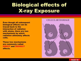 X Ray Risks Radiation Safety In CT and CBCT | PDF