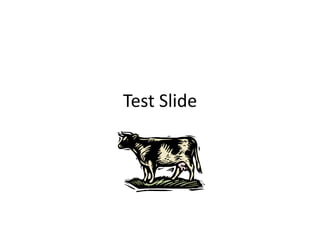 Test Slide
 