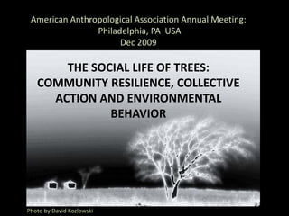 American Anthropological Association Annual Meeting:
                Philadelphia, PA  USA
                      Dec 2009

       THE SOCIAL LIFE OF TREES: 
   COMMUNITY RESILIENCE, COLLECTIVE 
     ACTION AND ENVIRONMENTAL 
              BEHAVIOR




Photo by David Kozlowski
 