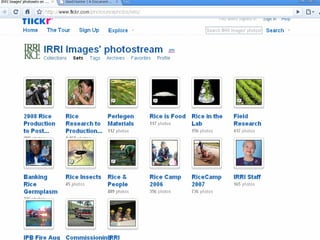 Access and Availability of Research Results: Pathways to Accessibility