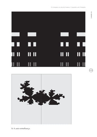 115
Os triângulos na vida dos homens: Congruência de Triângulos
Unidade20
b) A auto-semelhança.
 