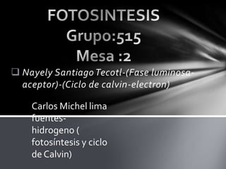  Nayely Santiago Tecotl-(Fase luminosa-
  aceptor)-(Ciclo de calvin-electron)

    Carlos Michel lima
    fuentes-
    hidrogeno (
    fotosíntesis y ciclo
    de Calvin)
 