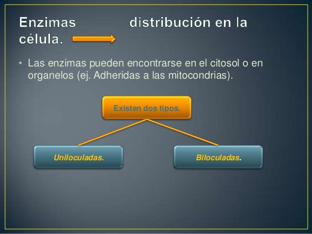 Resultado de imagen para 2.- Con sus propias palabras escriba una síntesis sobre  el uso de las enzimas en el análisis  clínico