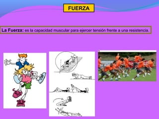 FUERZA



La Fuerza: es la capacidad muscular para ejercer tensión frente a una resistencia.
 