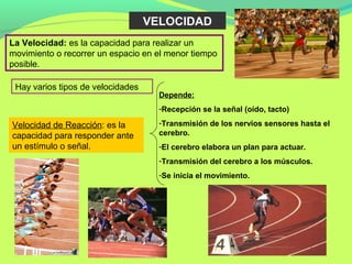 VELOCIDAD
La Velocidad: es la capacidad para realizar un
movimiento o recorrer un espacio en el menor tiempo
posible.

 Hay varios tipos de velocidades
                                     Depende:
                                     -Recepción se la señal (oído, tacto)

Velocidad de Reacción: es la         -Transmisión de los nervios sensores hasta el
capacidad para responder ante        cerebro.
un estímulo o señal.                 -El cerebro elabora un plan para actuar.
                                     -Transmisión del cerebro a los músculos.
                                     -Se inicia el movimiento.
 