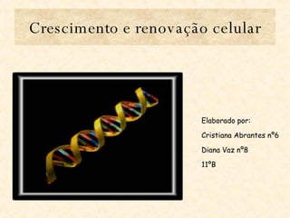 Crescimento e renovação celular Elaborado por: Cristiana Abrantes nº6 Diana Vaz nº8 11ºB 