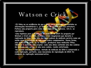 Já tínha-se as evidências de que o DNA era a molécula que continha as informações hereditárias e, já tínha-se um modelo para sua estrutura. Faltava uma proposta para como essa molécula se replicava, isto é, se reproduzia.  Uma hipótese para a replicação da molécula de DNA foi proposta por Watson e Crick em 1953. Watson e Crick imaginaram que durante a replicação do DNA, cada uma das duas cadeias da molécula serviria como um molde para a confecção de uma nova cadeia complementar. Dessa forma, uma molécula de DNA, ao se replicar, produziria duas moléculas filhas, idênticas à molécula mãe original, cada uma delas contendo uma das cadeias da molécula mãe antiga, e uma nova cadeia, recém-sintetizada.  De acordo com essa hipótese, metade da molécula de DNA é conservada a cada replicação, portanto, esse mecanismo de reprodução do DNA foi chamado de replicação semiconservativa.  Watson e Crick 
