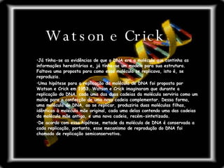 Já tínha-se as evidências de que o DNA era a molécula que continha as informações hereditárias e, já tínha-se um modelo para sua estrutura. Faltava uma proposta para como essa molécula se replicava, isto é, se reproduzia.  Uma hipótese para a replicação da molécula de DNA foi proposta por Watson e Crick em 1953. Watson e Crick imaginaram que durante a replicação do DNA, cada uma das duas cadeias da molécula serviria como um molde para a confecção de uma nova cadeia complementar. Dessa forma, uma molécula de DNA, ao se replicar, produziria duas moléculas filhas, idênticas à molécula mãe original, cada uma delas contendo uma das cadeias da molécula mãe antiga, e uma nova cadeia, recém-sintetizada.  De acordo com essa hipótese, metade da molécula de DNA é conservada a cada replicação, portanto, esse mecanismo de reprodução do DNA foi chamado de replicação semiconservativa.  Watson e Crick 