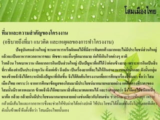 ที่มาและความสาคัญของโครงงาน
(อธิบายถึงที่มา แนวคิด และเหตุผลของการทาโครงงาน)
ปัจจุบันคนส่วนใหญ่ ทานอาหารหรือผักผลไม้ที่มีสารพิษตกค้างมากและไม่มีประโยชน์ส่วนใหญ่
แล้วจะเป็นอาหารพวกอาหารขยะ พิซซา และอื่นๆอีกมากมาย ก่อให้เกินโรคต่างๆ อาทิ
โรคอ้วน โรคเบาหวาน เกิดจากการกินเป็นส่วนใหญ่ เป็นปัญหาที่แก้ได้ว่าค่อนข้างยาก เพราะการกินเป็นสิ่ง
ที่เราต้องทาเป็นประจาทุกวัน ตั้งแต่เช้า ถึงเย็น เป็นเรื่องยากที่จะไม่ให้กินอาอาหารเหล่านั้นเลย ดังนั้นกลุ่ม
ของข้าพเจ้าจึงได้ตระหนักถึงปัญหาที่เกิดขึ้น จึงได้คิดค้นโครงงานเพื่อการศึกษาเรื่องนี้ขึ้นมา ชื่อว่า โสม
เมืองไทย เพราะว่า จากการศึกษาข้อมูลของโสมมามีประโยชน์มากมายหลายอย่าง แต่ติดตรงที่ราคาของ
โสมนั้นมีราคาเพงมาก ข้าพเจ้าจึงได้พยามหาสิ่งที่จะมาทดแทนได้ และราคาถูกกว่า จึงได้ผลไม้ชนิดหนึ่ง
มาคือ กล้วย กล้วยนั้นมีประโยชนมากมายหลายอย่างเช่นเดียวกับโสมเช่น ช่วยรักษาอาการท้องผูก เพราะ
กล้วยมีเส้นใยและกากอาหารซึ่งจะช่วยให้ขับถ่ายได้อย่างปกติ ใช้ประโยชน์ได้ตั้งแต่ต้นถึงใบกันเลยทีเดียว
ดังนั้นข้าพเจ้าจึงตั้งชื่อว่า โสมเมืองไทยนั้นเอง
 